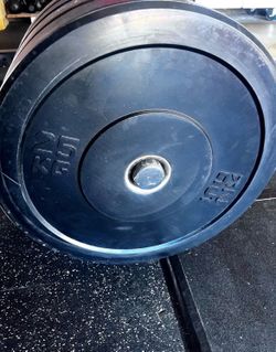 55lb Bumper plates