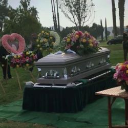 Arrangements Flowers 