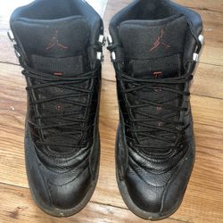 Air Jordan 12 8.5 