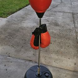 Punching Bag with Gloves - $50 OBO