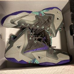 Lebrons Size 11.5