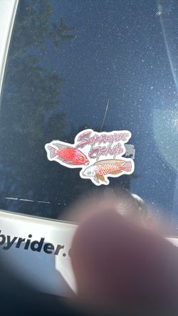 Not Live Fish