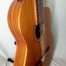 Giannini Hand Made Guitar 1997 Made In Brazil GWNFL Flat Series