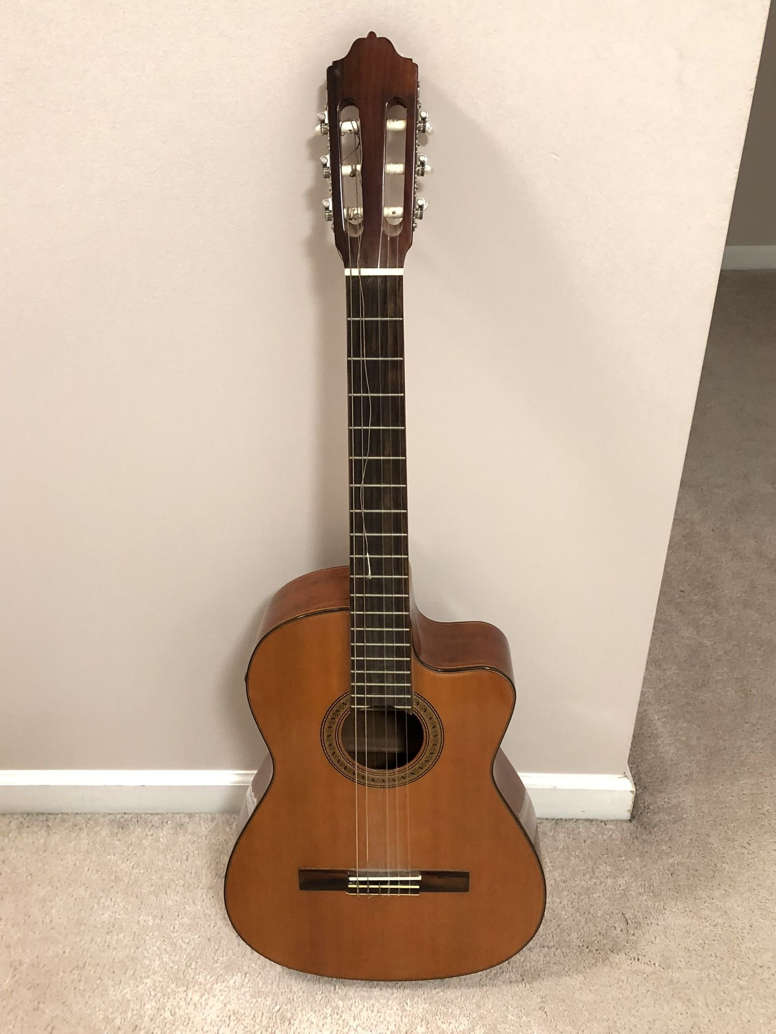 Classical Acoustic Guitar