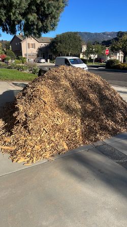 Free Clean Wood Chips