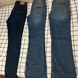Women’s Clothing Lot