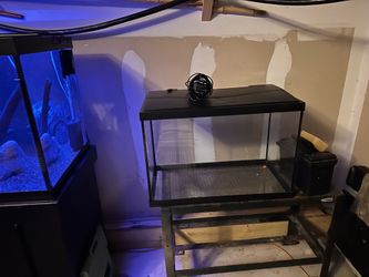 20 Gallon Aquarium /Fish tank with Lid/hood ,light and sponge filter. **stand not included.
