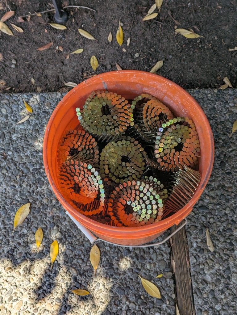 bucket of collated nails