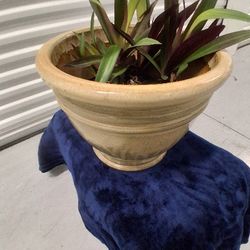 NEW  "MAGESTIC FOUNTAINS" PLANTER WITH PLANTER, ROCKS, SOIL AND PLANT, SMALL CHIP ON THE BOTTOM, PRICE REDUCED, BARLEY NOTICABLE, NICE SETUP!!!