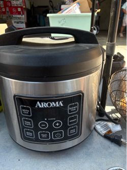 Rice maker/steamer