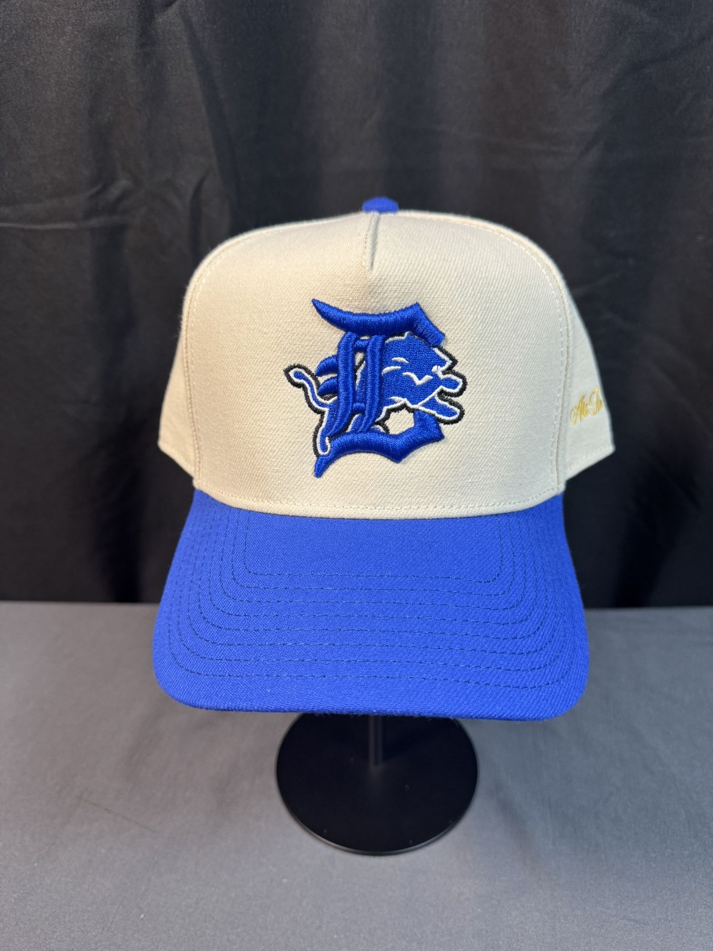 SnapBack: Detroit Lions
