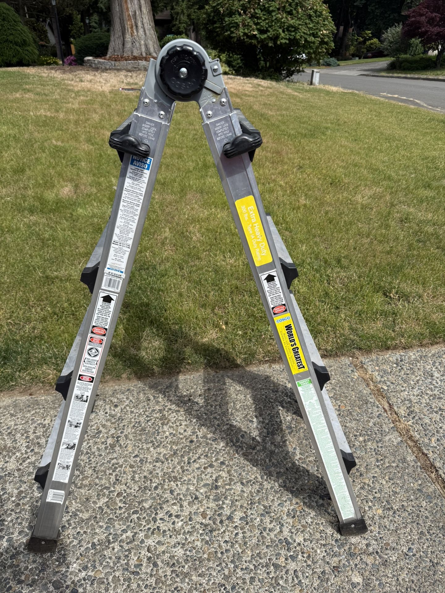 Cocos 18’ Multi-position Ladder
