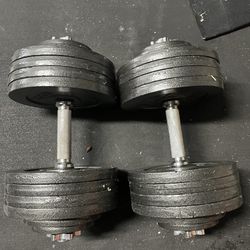 CAP Barbell Adjustable Dumbbell Weight Set 200lb PAIR