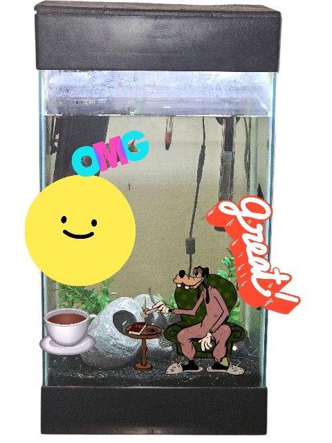 20 Gallon Fish Tank With Everything You Will Need