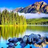 David R