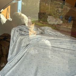 Free !!   Large Round beveled glass table top