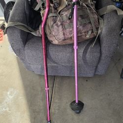 Two Canes