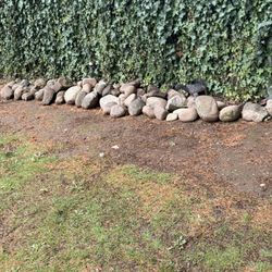 Rocks For Landscaping. Free.