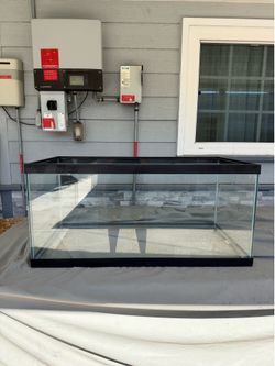 40 Gallon Tank