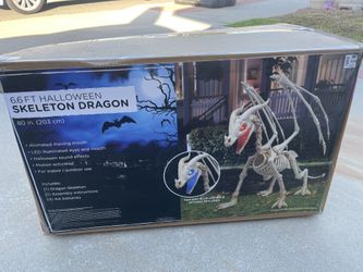 Dragon Skeleton