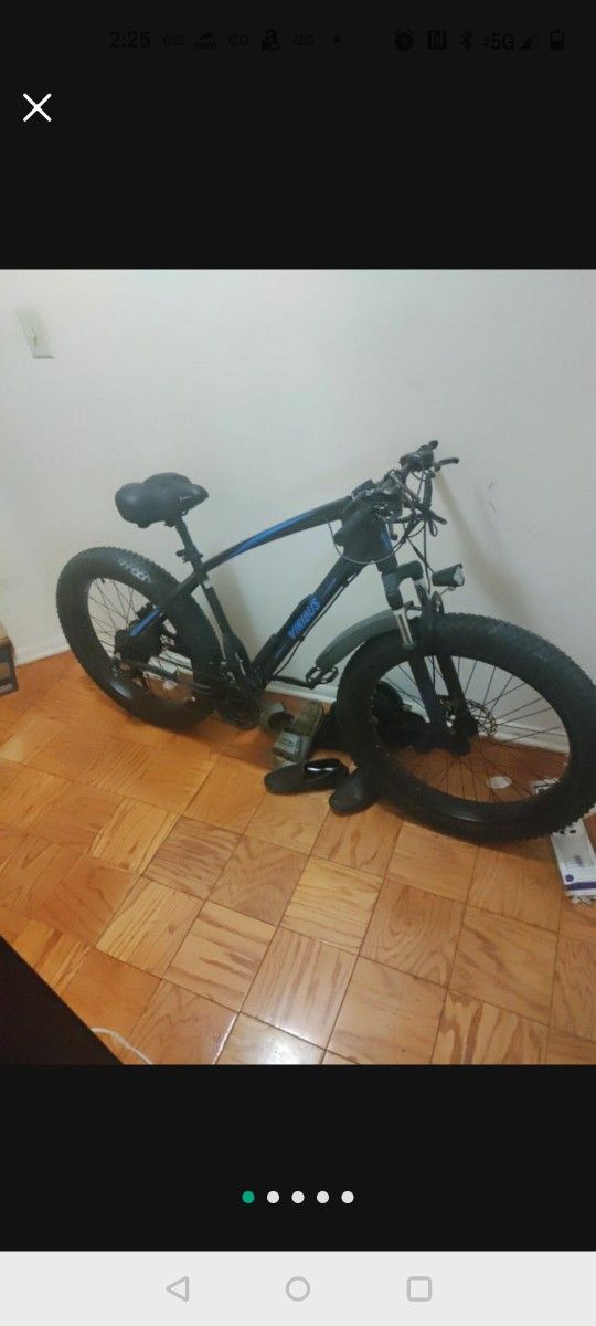 Virubus Electric Bike 