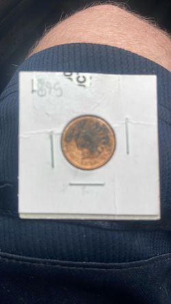 1895 penny