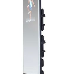 Pro Form Workout Mirror