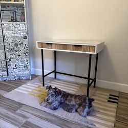 West Elm Desk and Rug
