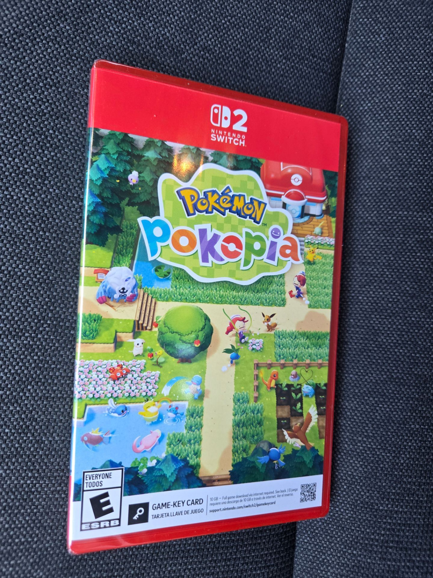 Pokopia switch 2
