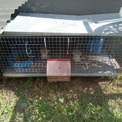 Casilleros Para Palomas