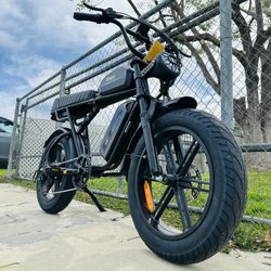 Electric Bike