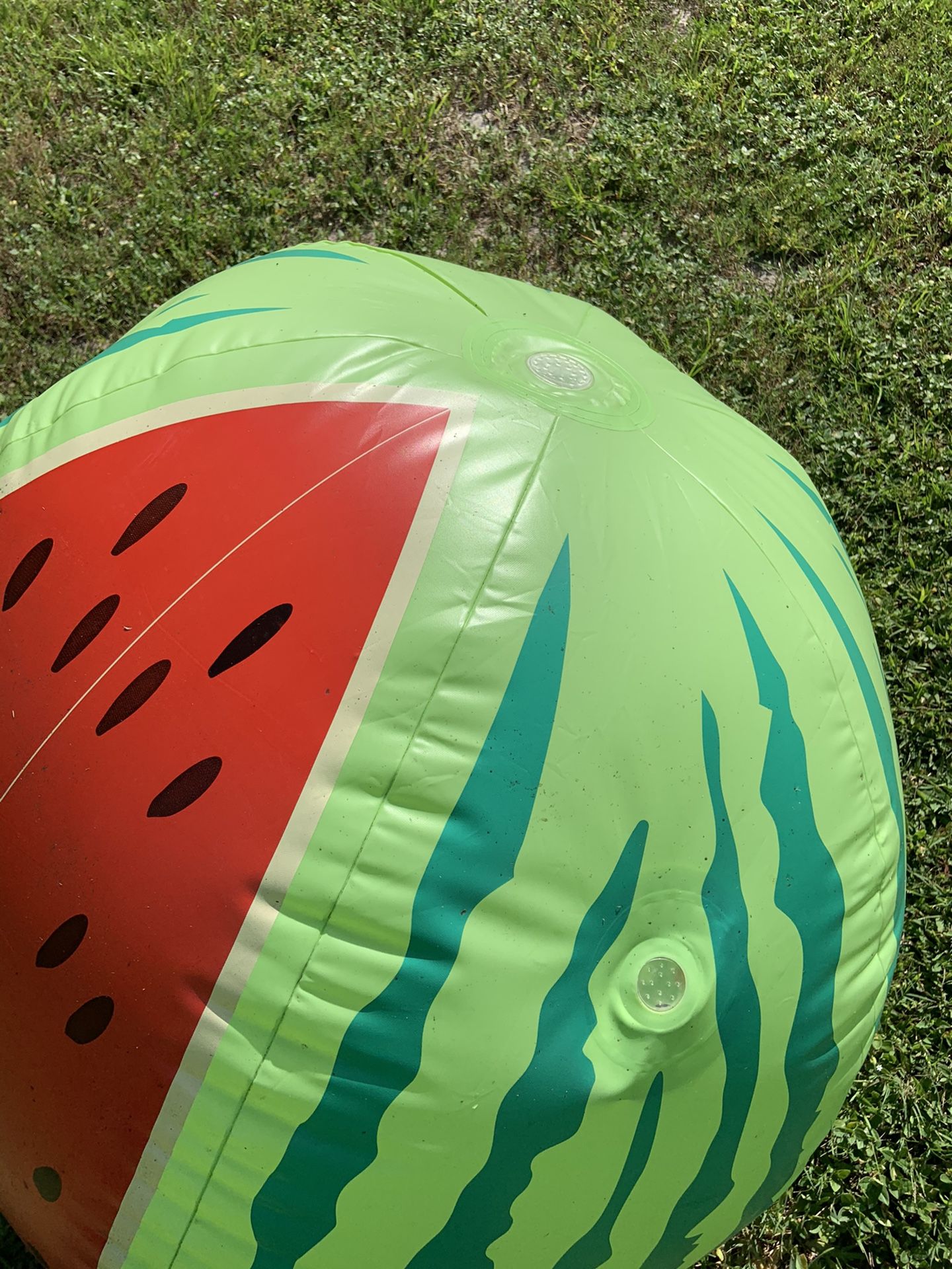 Watermelon ca see water sprayer
