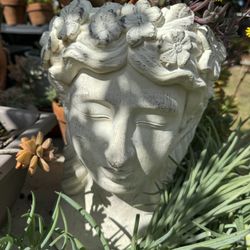 Arrangements With Succulents 