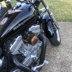 Beautiful 2015 Harley Davidson 883lo Sale 