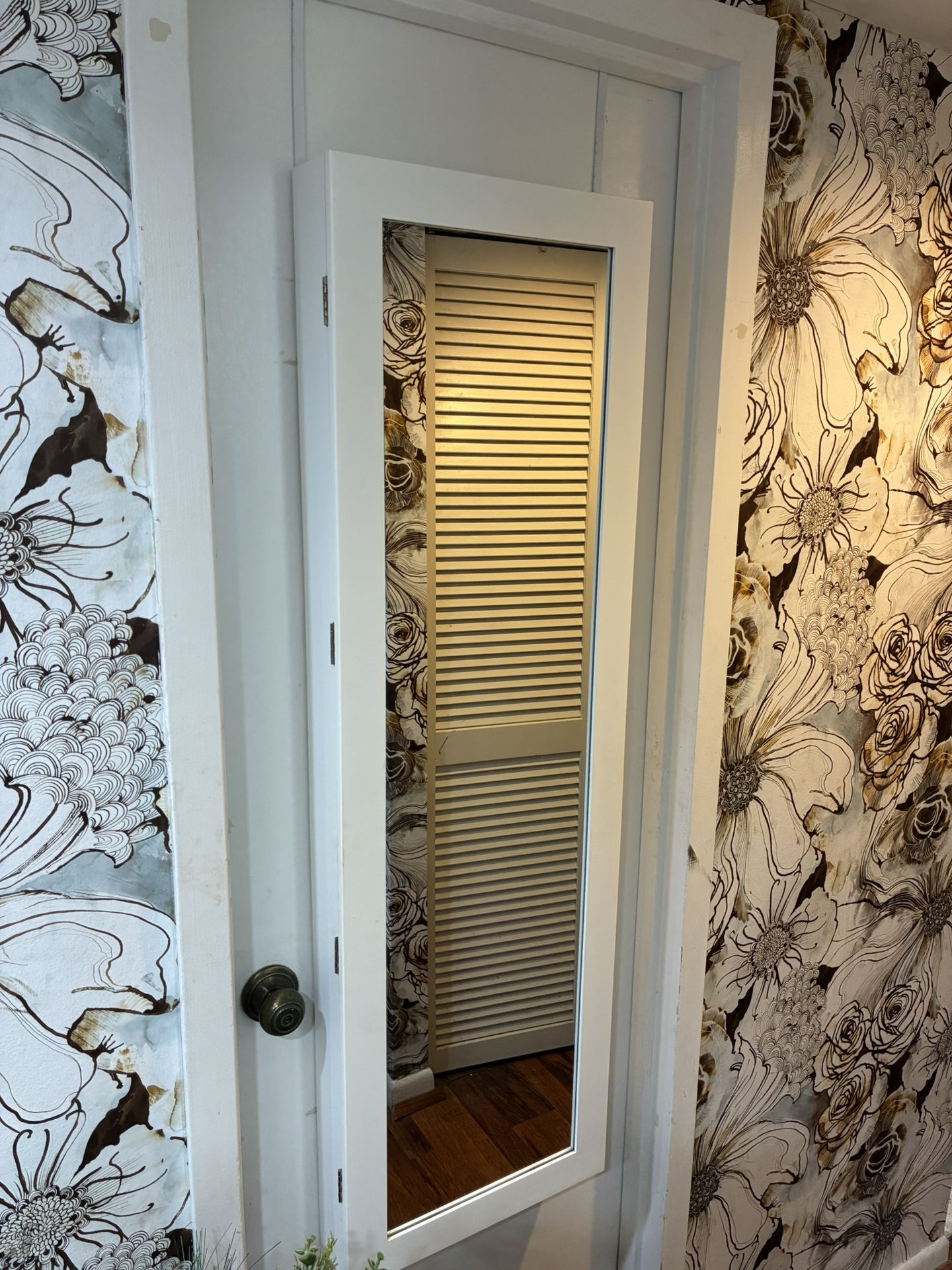 Door Mirror Plus Storage