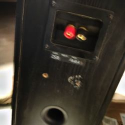 Infinity RS2 Speakers