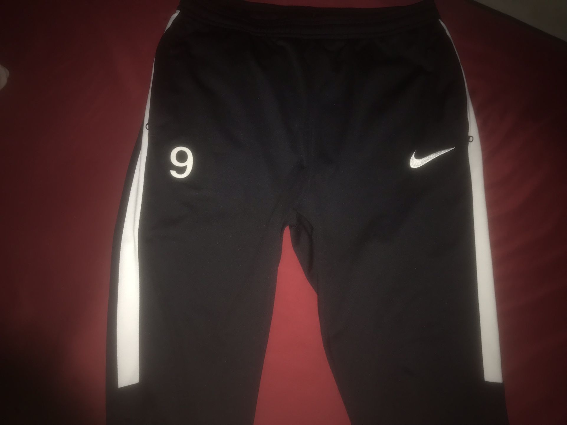 Nike Track Suit Pants (size L)