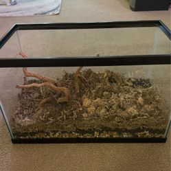 Terrarium. 20 Gallons