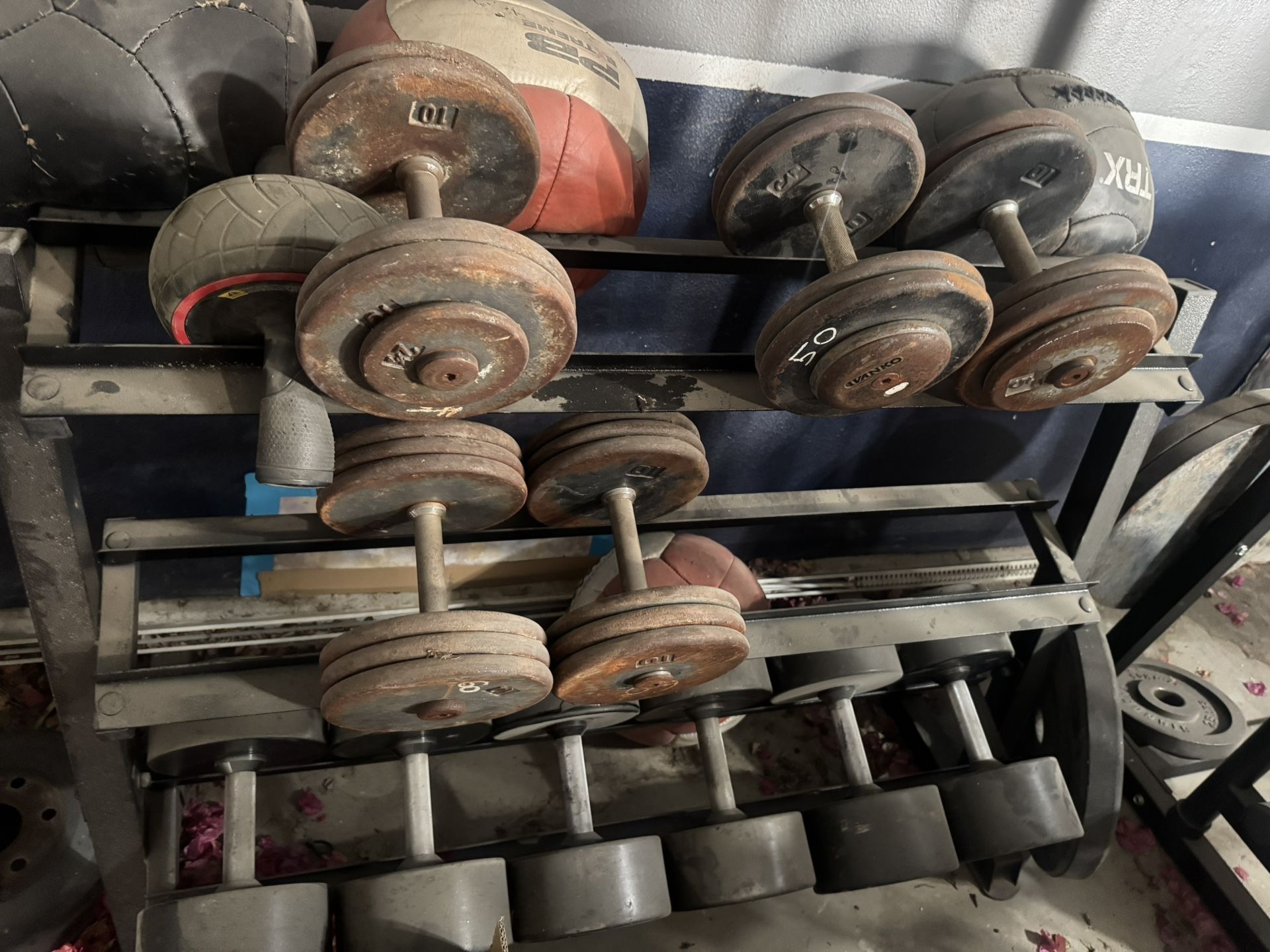 Workout Equipment