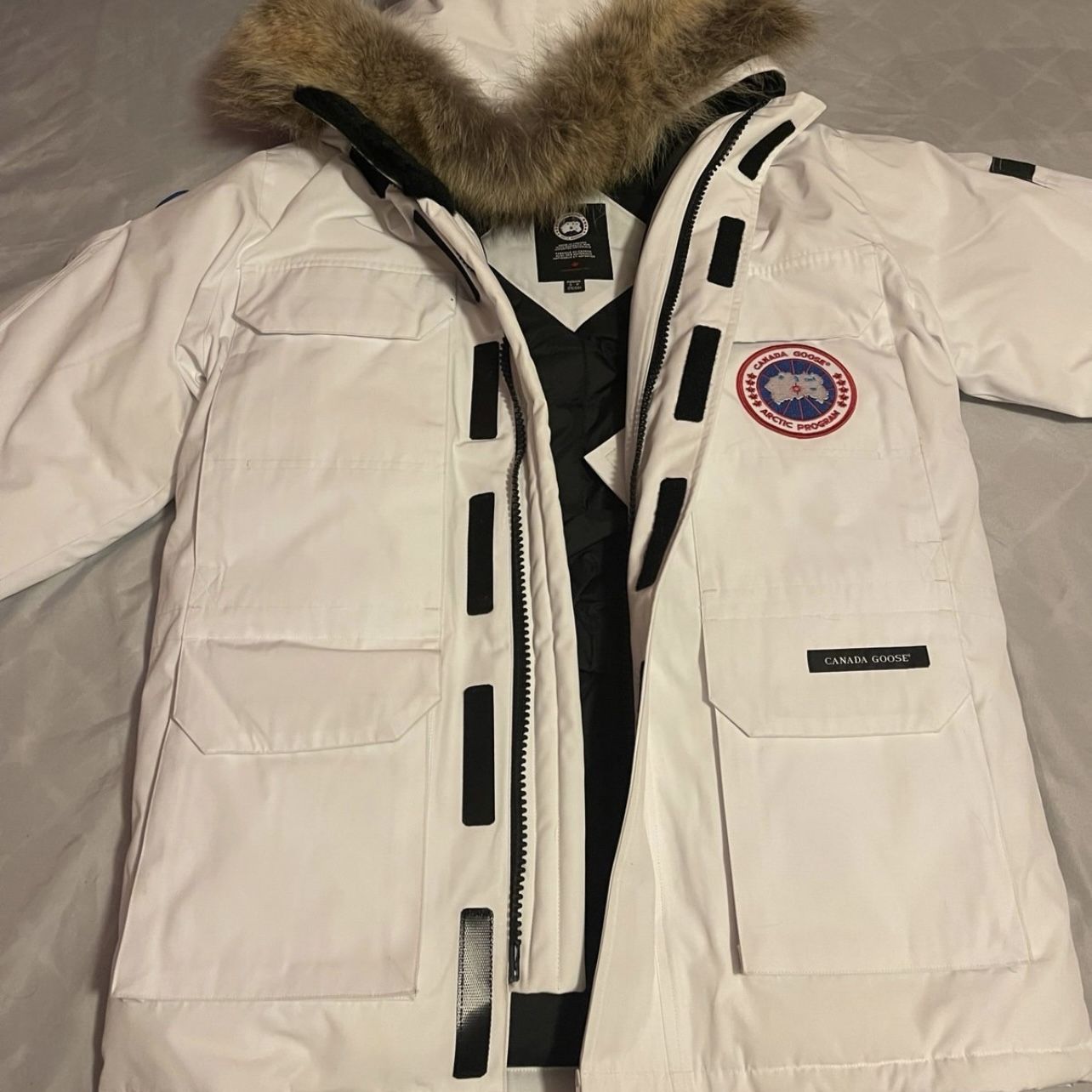 Canadian goose Park