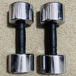 20lb Dumbbells 
