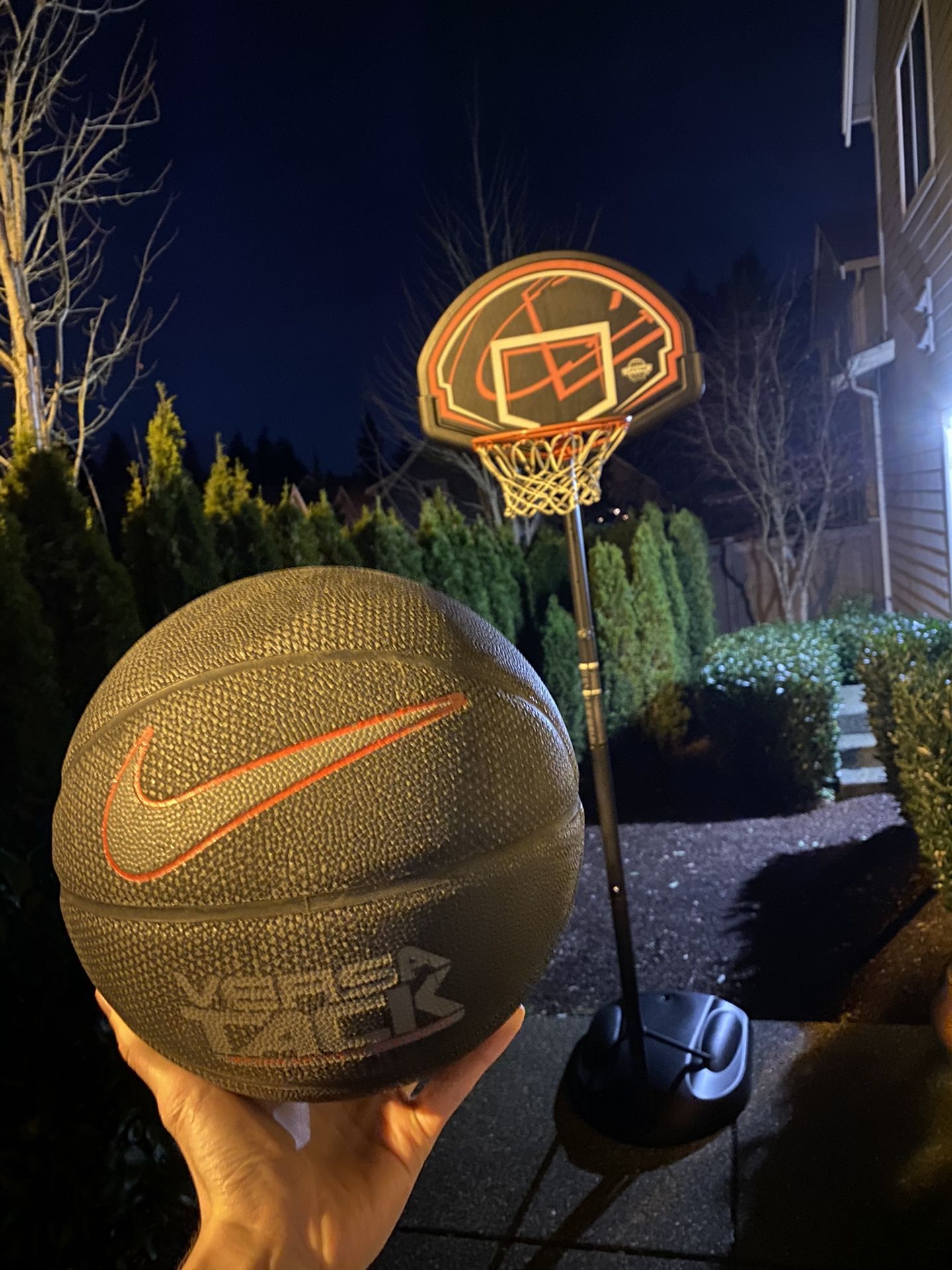 Bascketball Hoop Life Time and Nike Ball