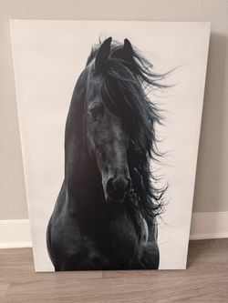 Nice Horse picture frame