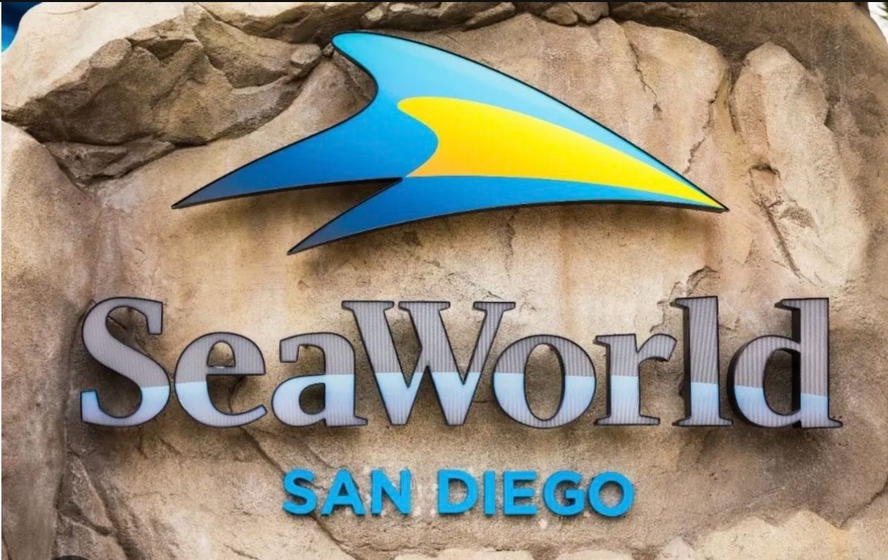 Seaworld or sesame Tickets
