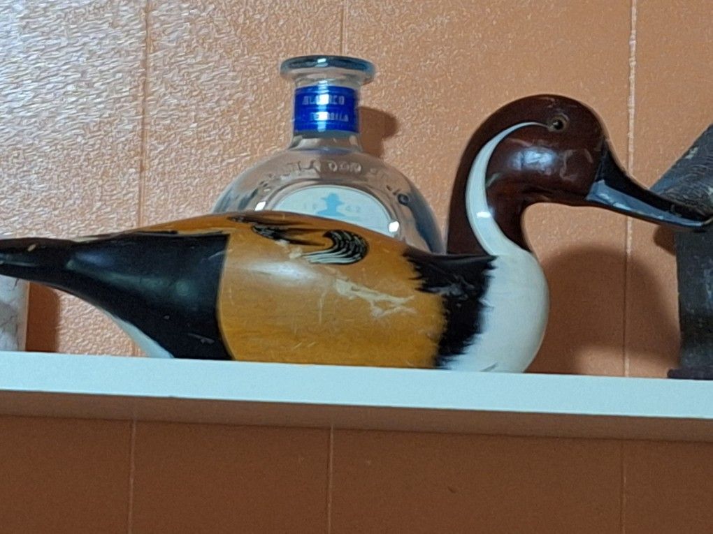 Vintage Wood Duck