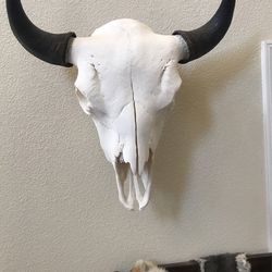 Large Bison Buffalo Skull Mount Authentic Rustic Man Cave Decor