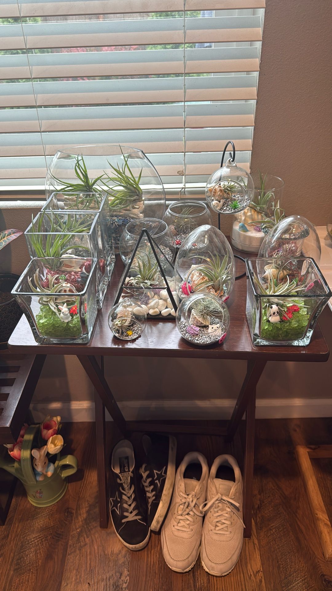 Terrarium’s With Air Plants