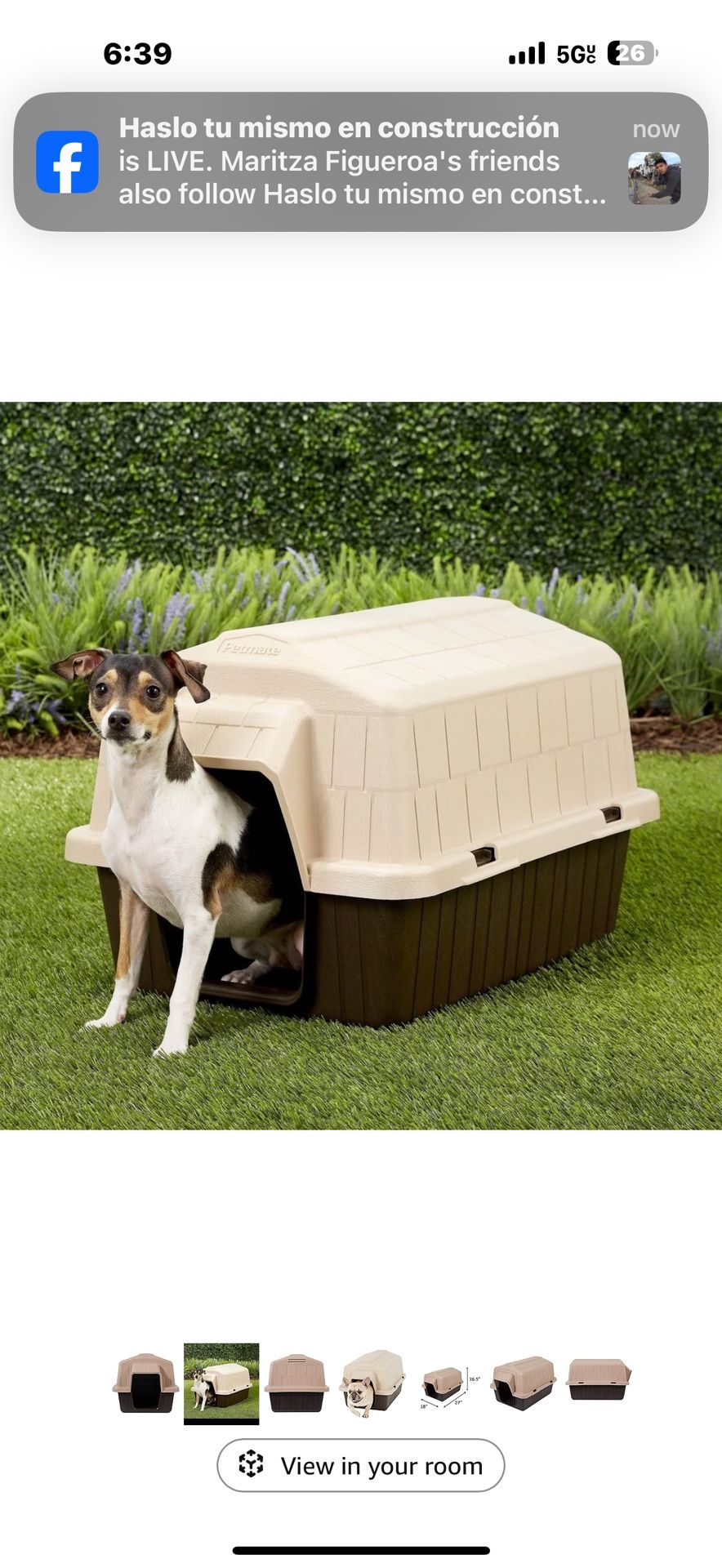 Outdoor Dog House