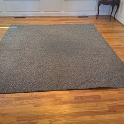Grey/Brown Carpet