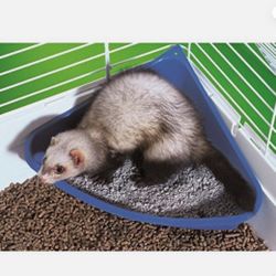 Litter Box For Small Animals